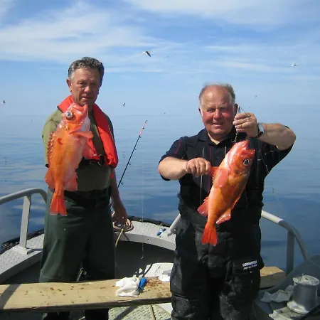 別荘 Havglott Oksvoll