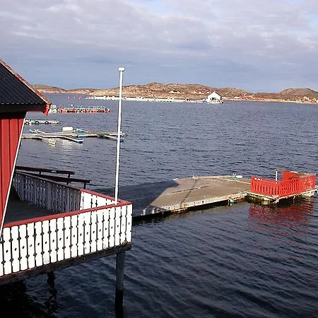Havglott * Oksvoll