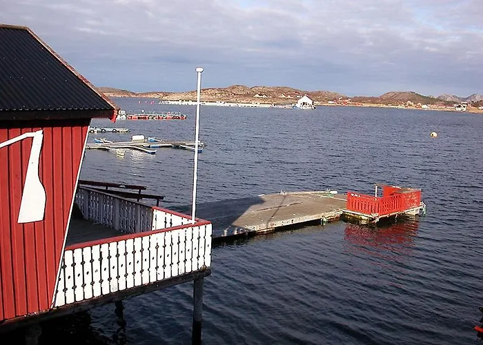 Havglott * Oksvoll